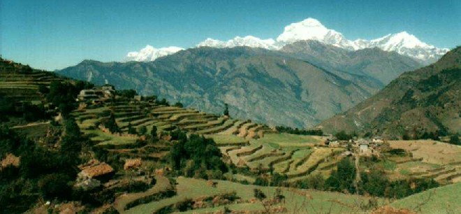 The field of mountains