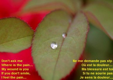 Love is the most beautiful dream of horizon